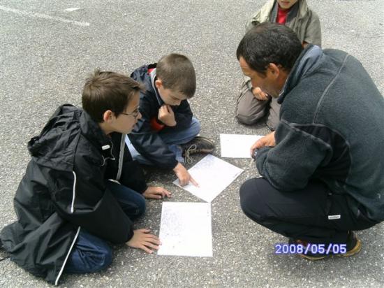 course d'orientation