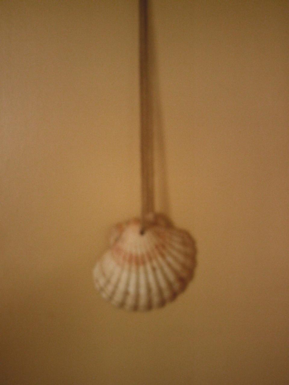 coquille St Jacques